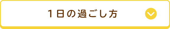 1日の過ごし方